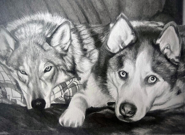 Dogs